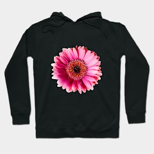 Beautiful Gerbera Flower Hoodie